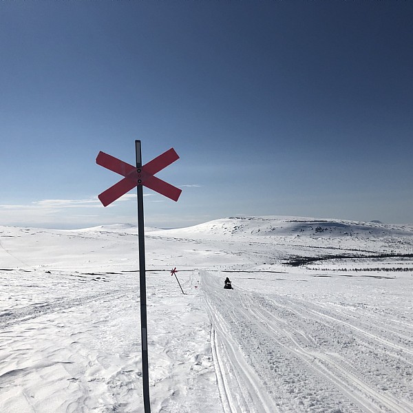Aktiviteter i Lofsdalen – året om