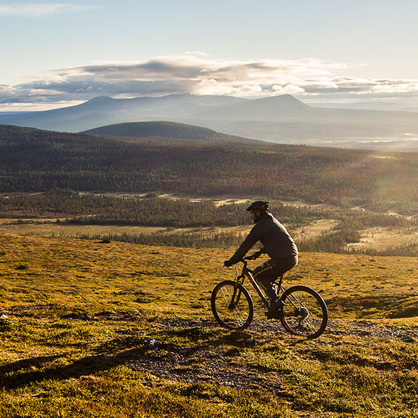 Lofsdalen Skybar